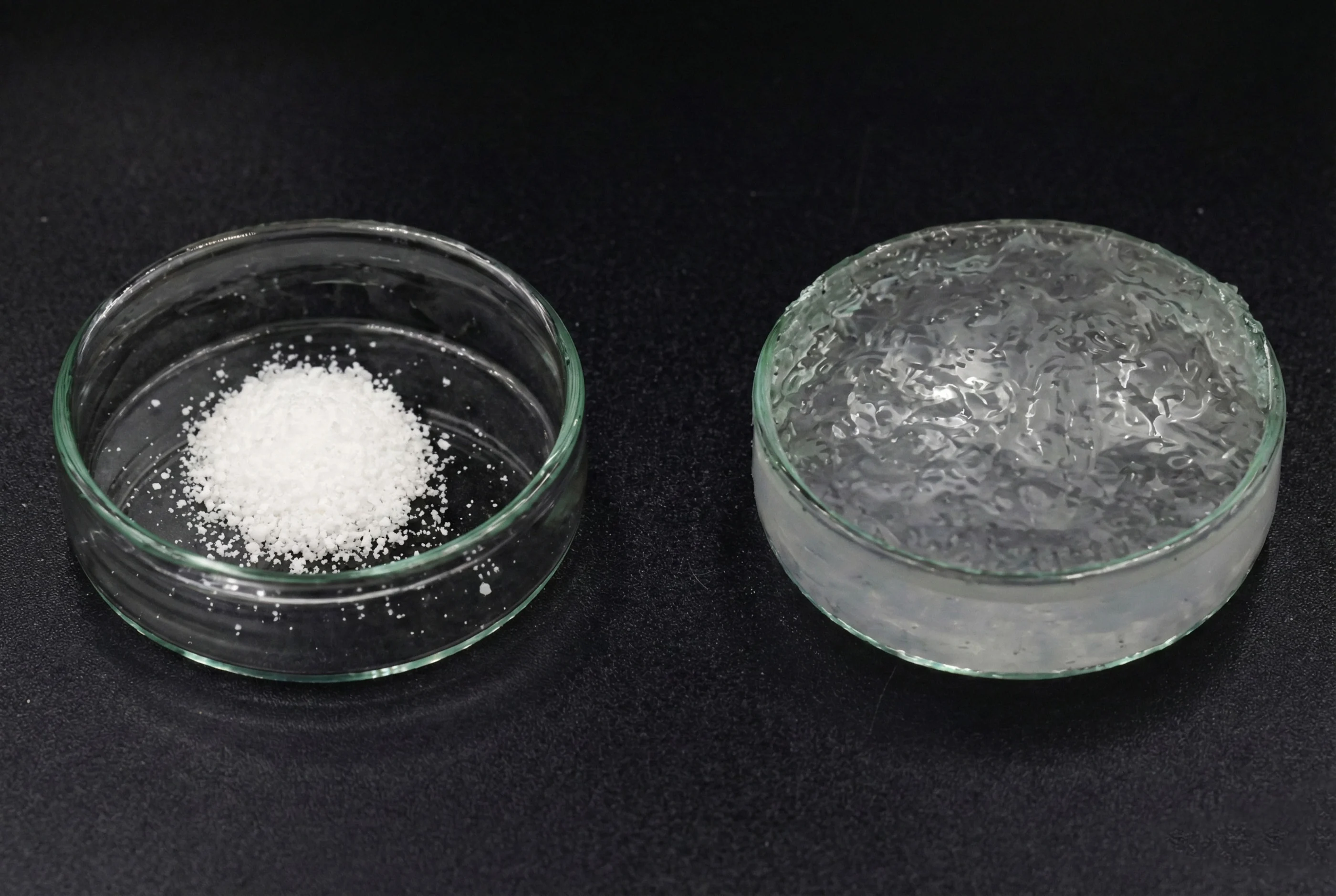 Biomass SAP petri dishes