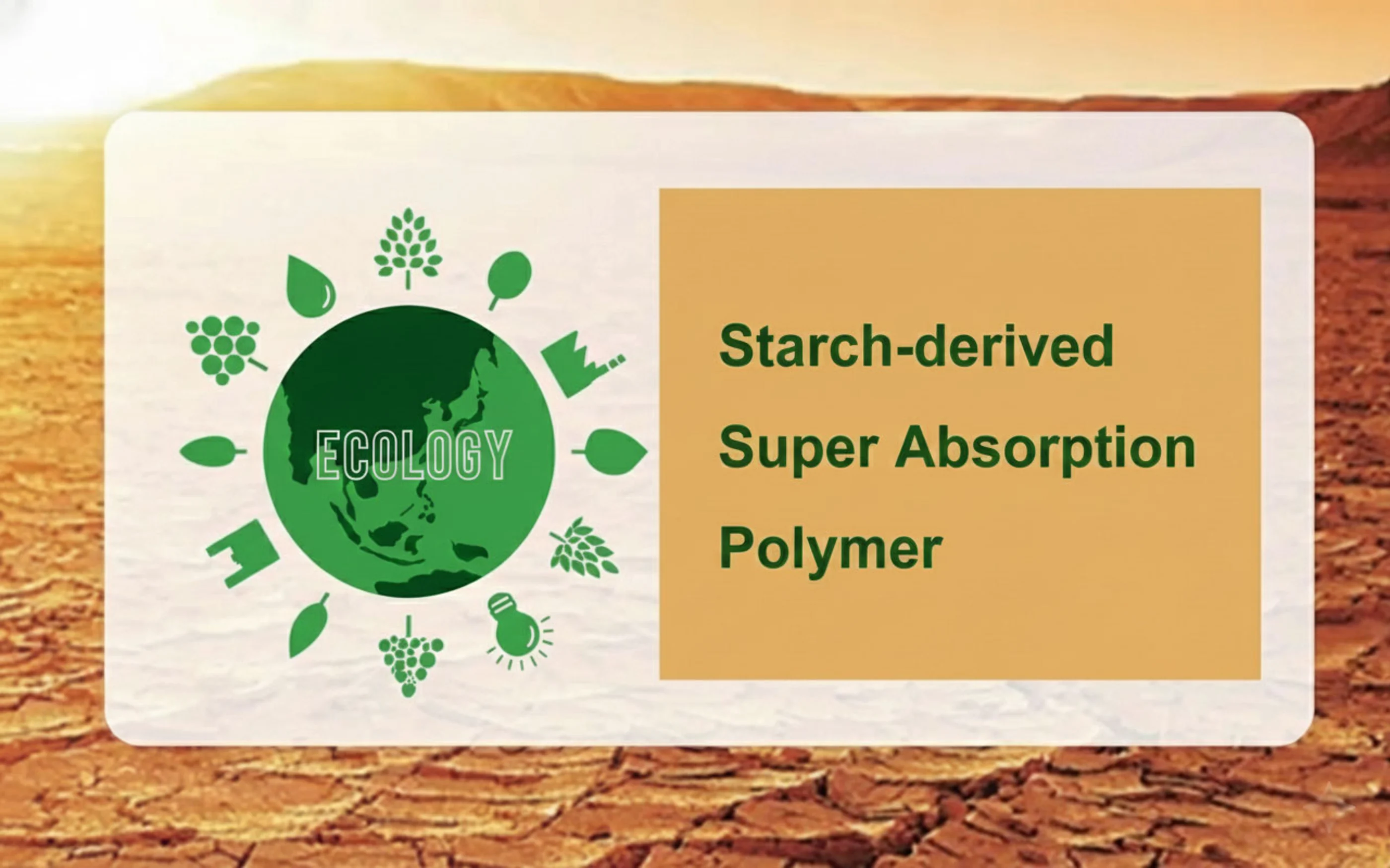 Starch-derived Super Absorption Polymer