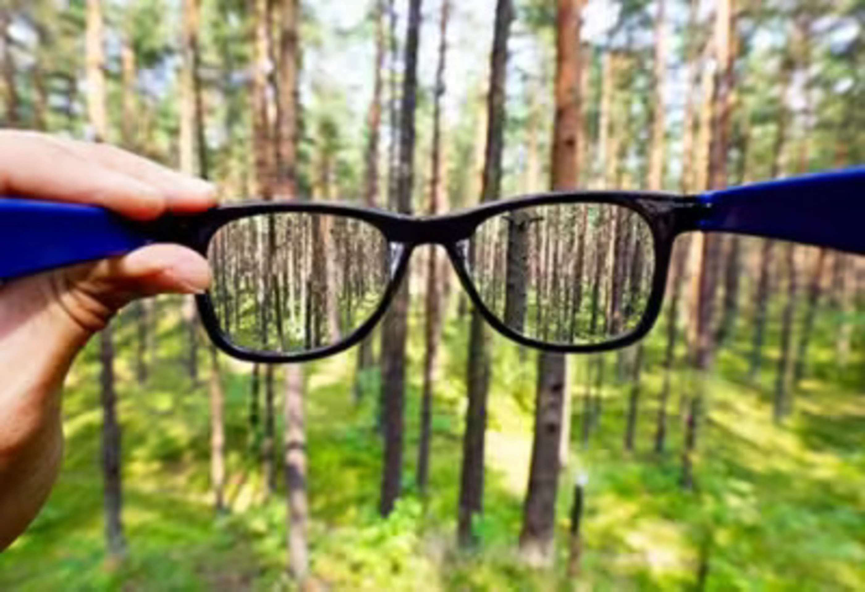 holding glasses in front of forest
