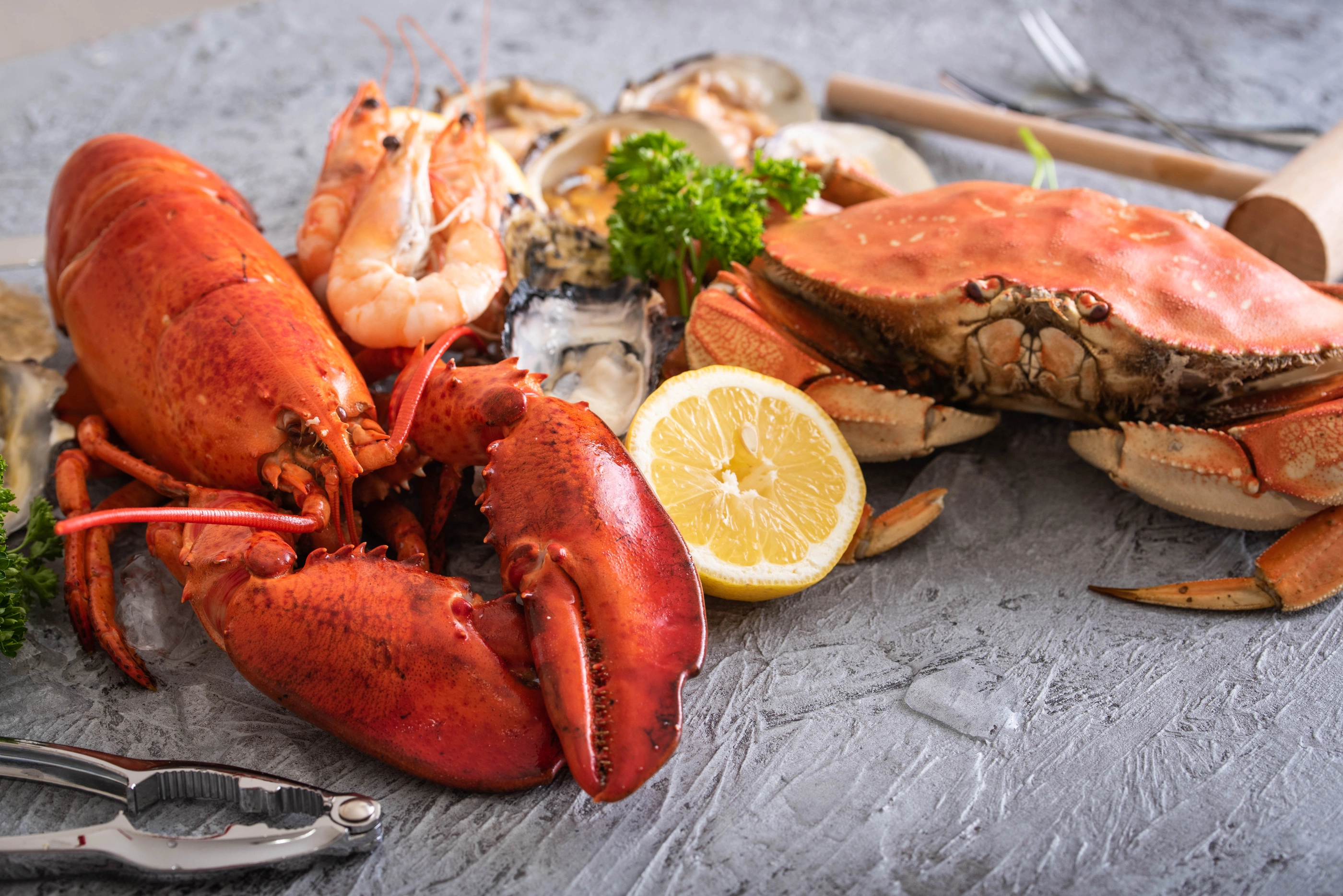 gorgeous assorted seafood image for background; Shutterstock ID 1399649168; purchase_order: nfi; job: ; client: ; other: 