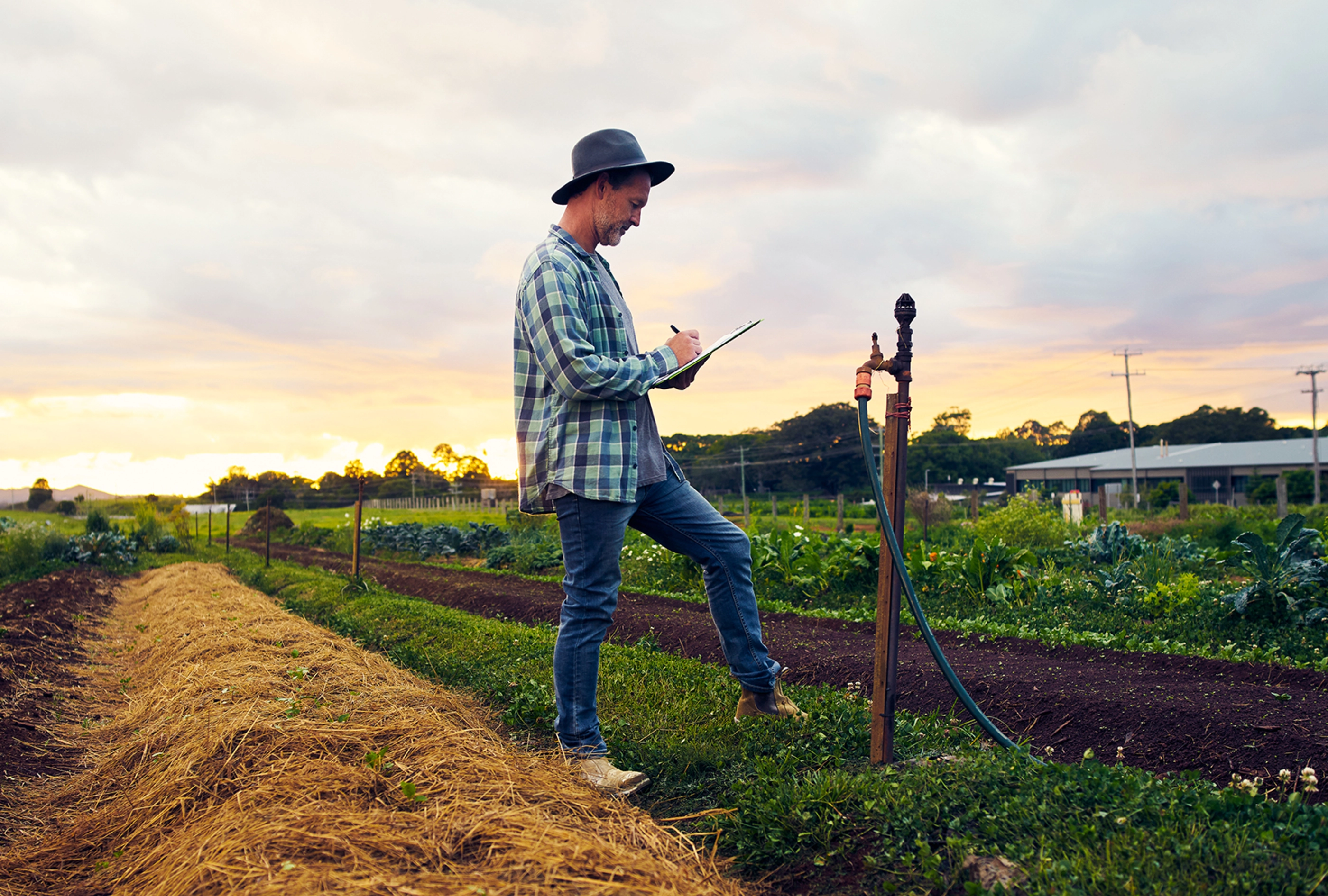 Shot of a mature farmer checking the crops on his farm.