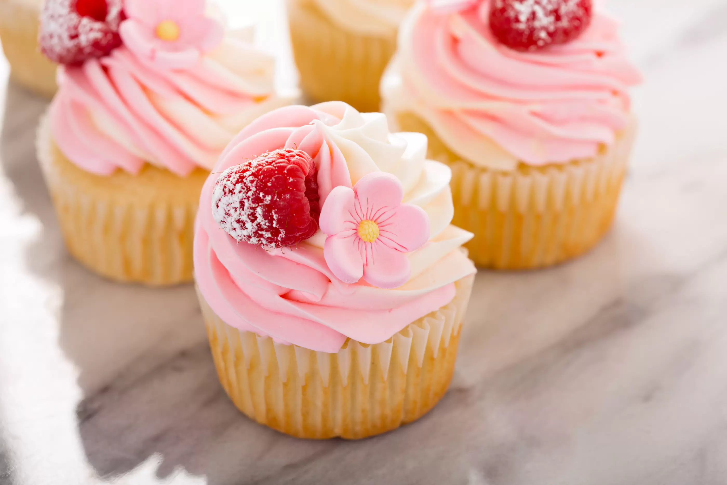 Vanilla and raspberry cupcakes.