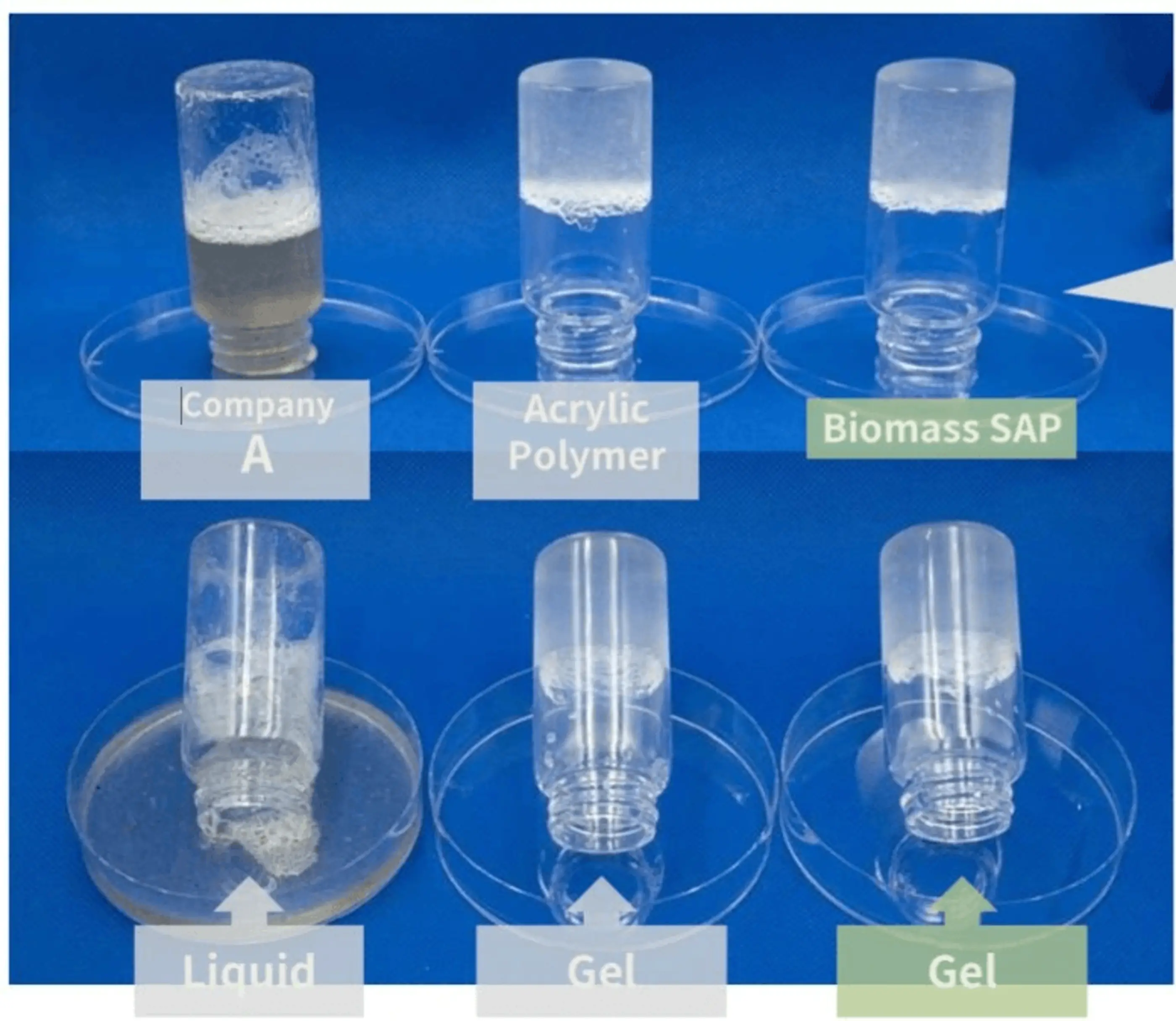 Biomass SAP comparison 