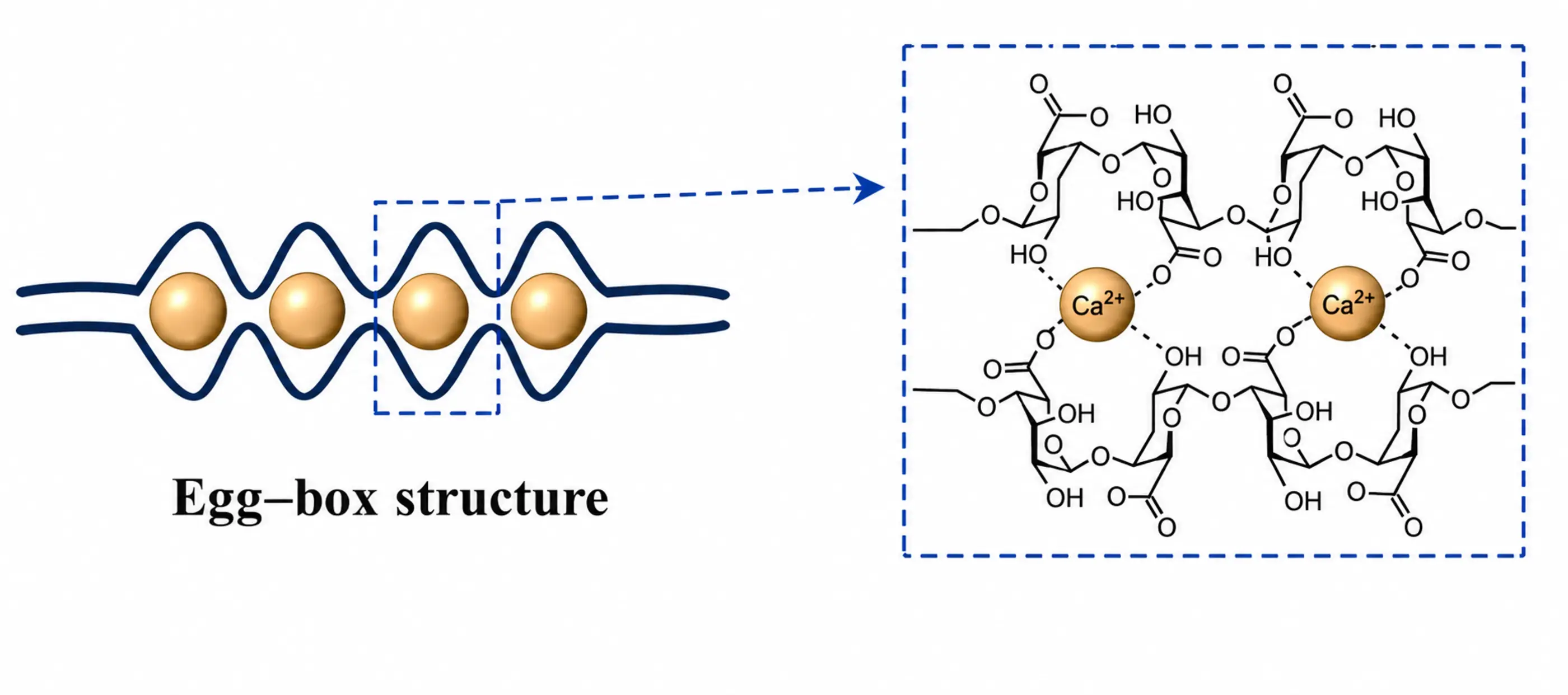 Regenerative Medicine and Tissue Engineering Research