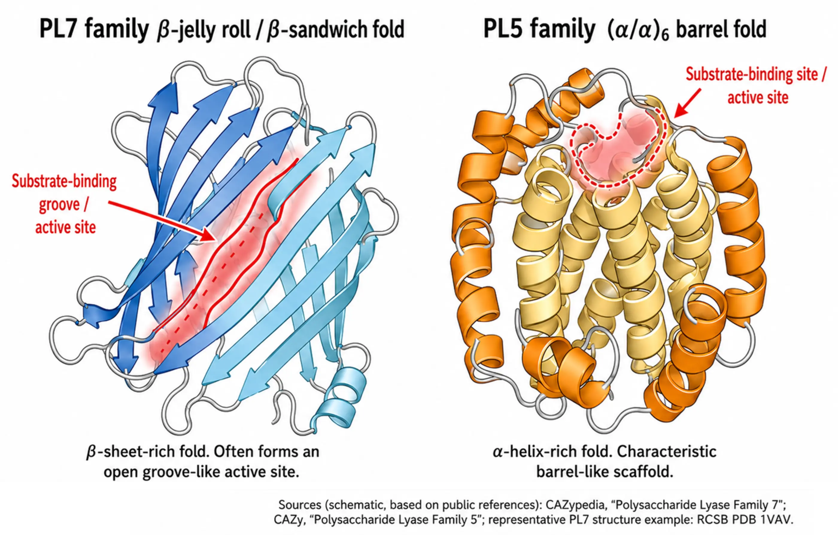 Representative Structures of Alginate Lyase
