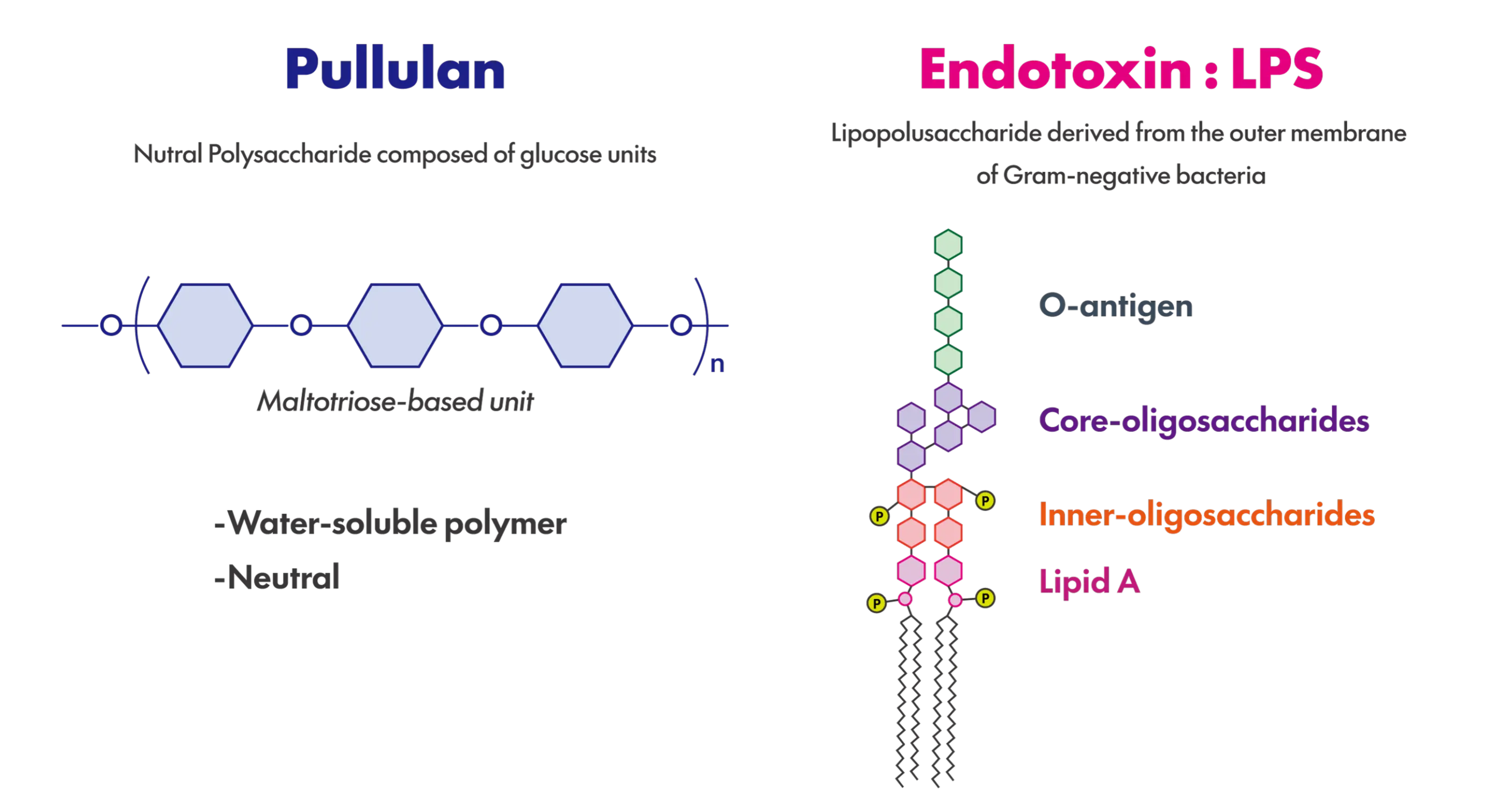 Pullulan Endotoxin