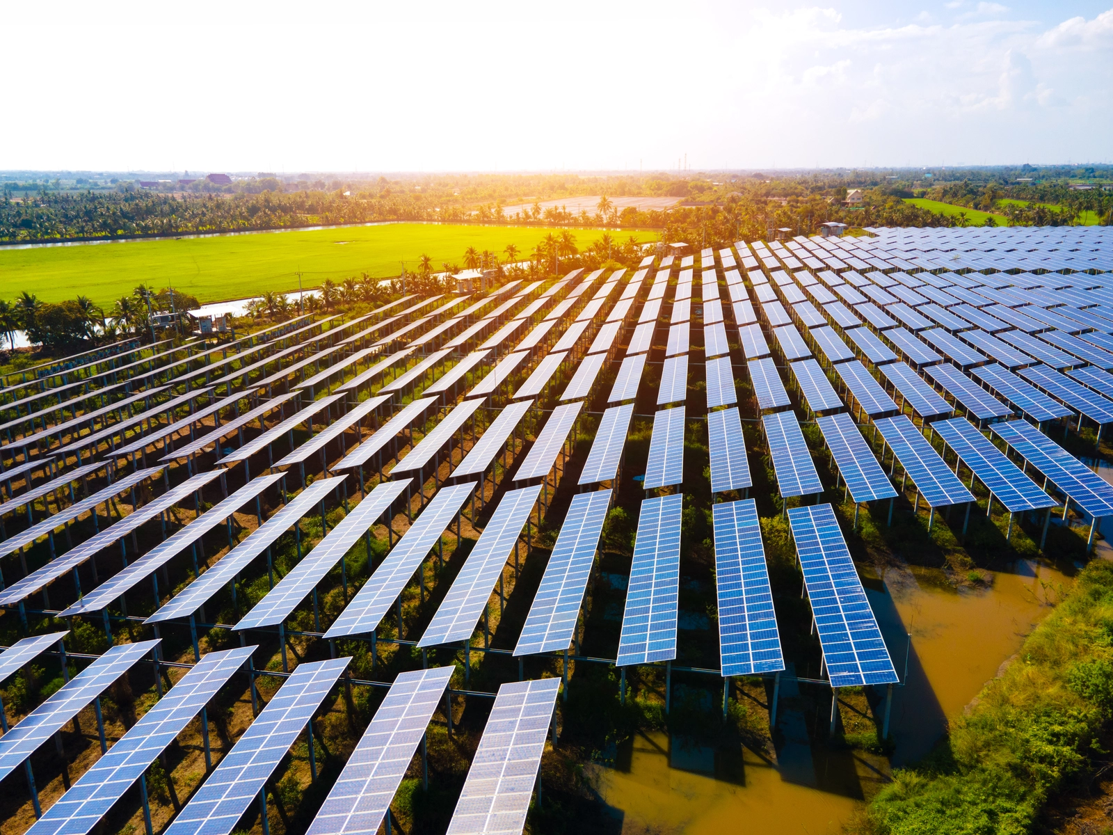 Field of solar panels