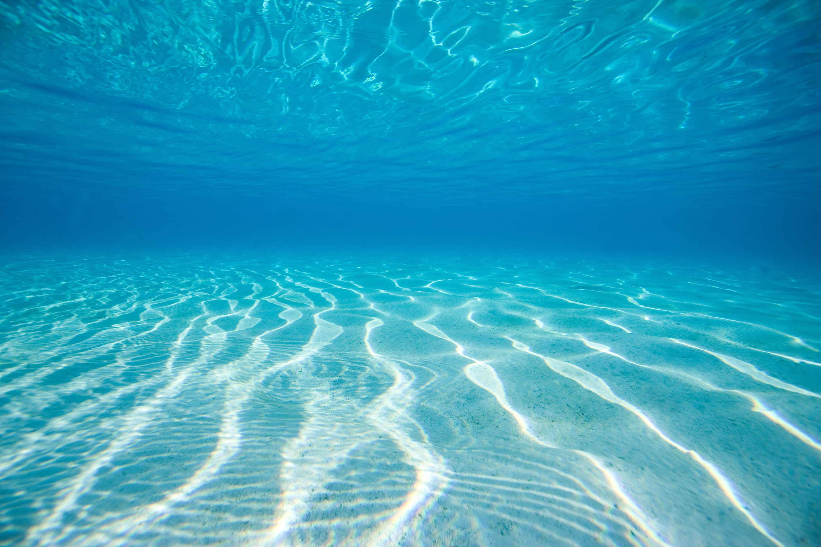 Underwater ripple pattern in crystal clear lagoon water in tamae beach, moorea, Tahiti.