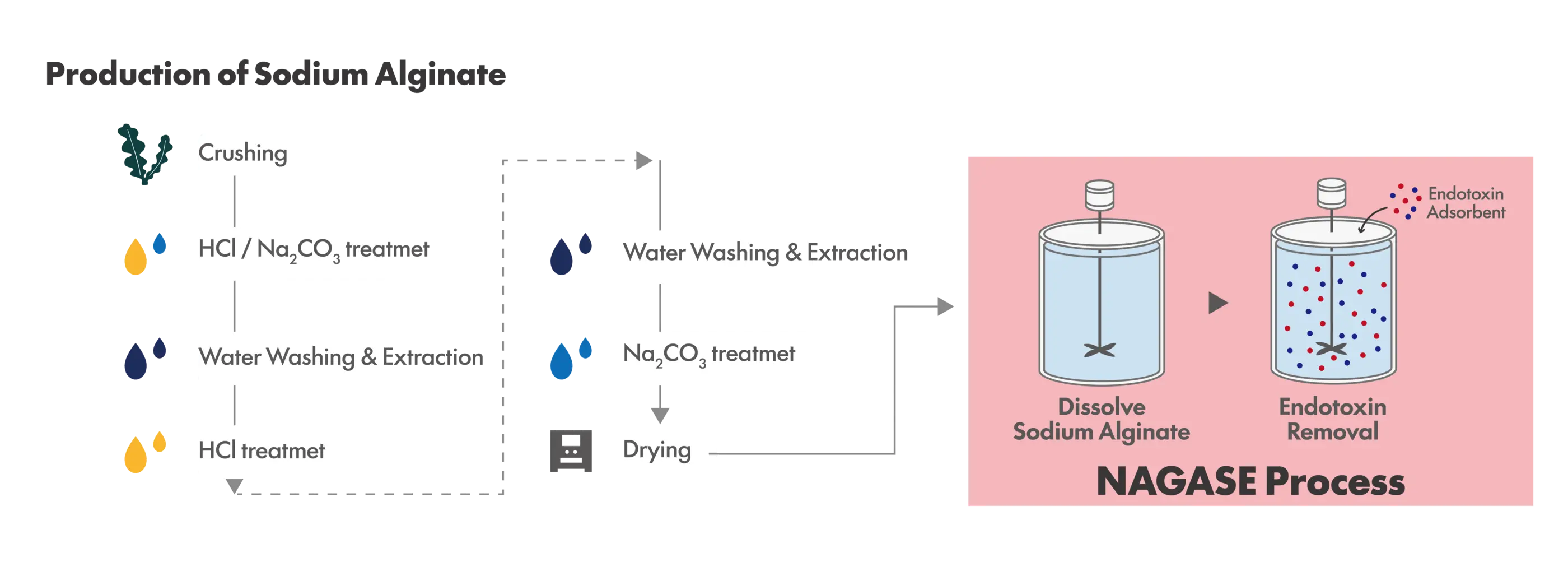 Sodium Alginate_04