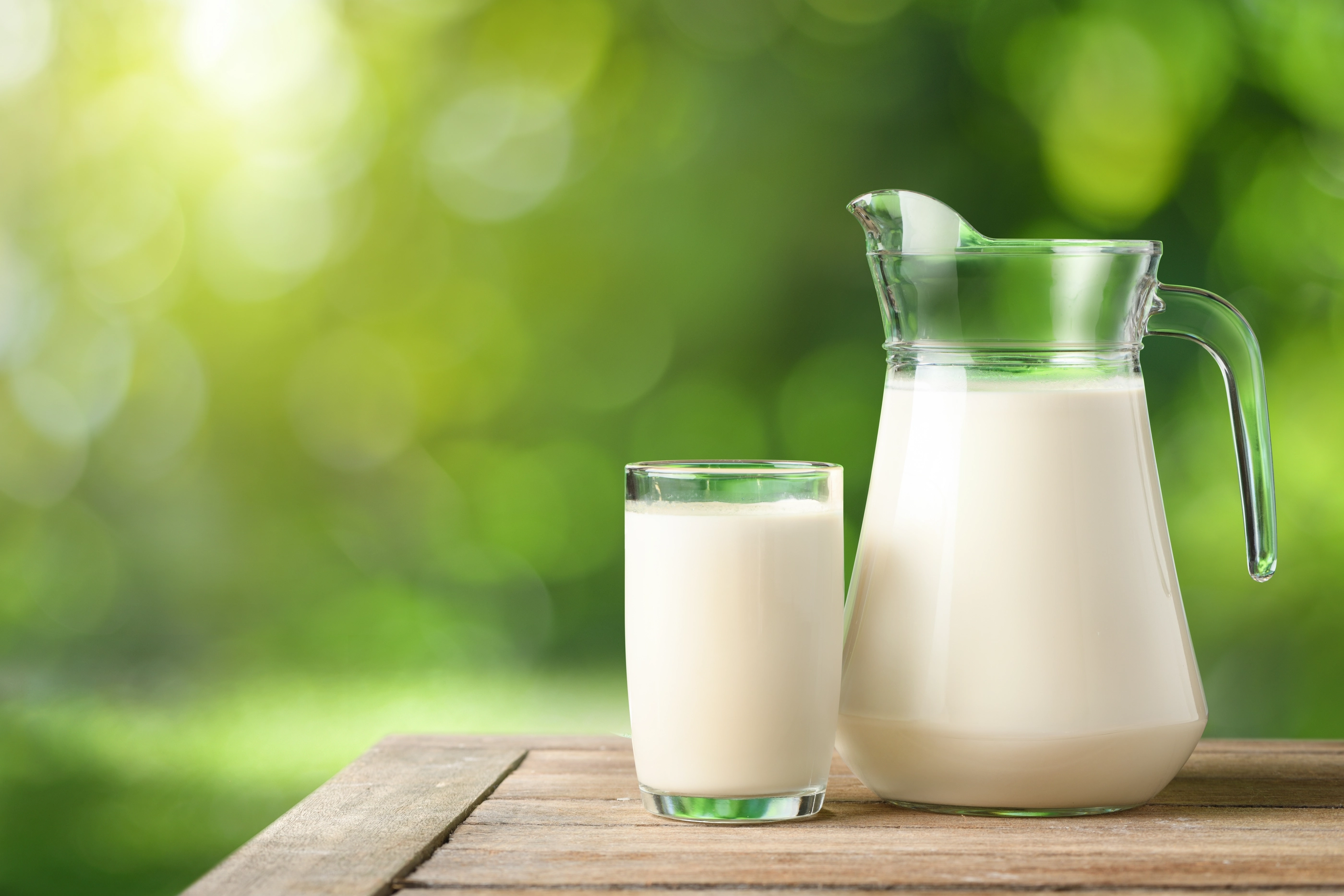Glass and pitcher of fresh milk on wooden table with blur green garden background.; Shutterstock ID 2308150887; purchase_order: NFI; job: ; client: ; other: 