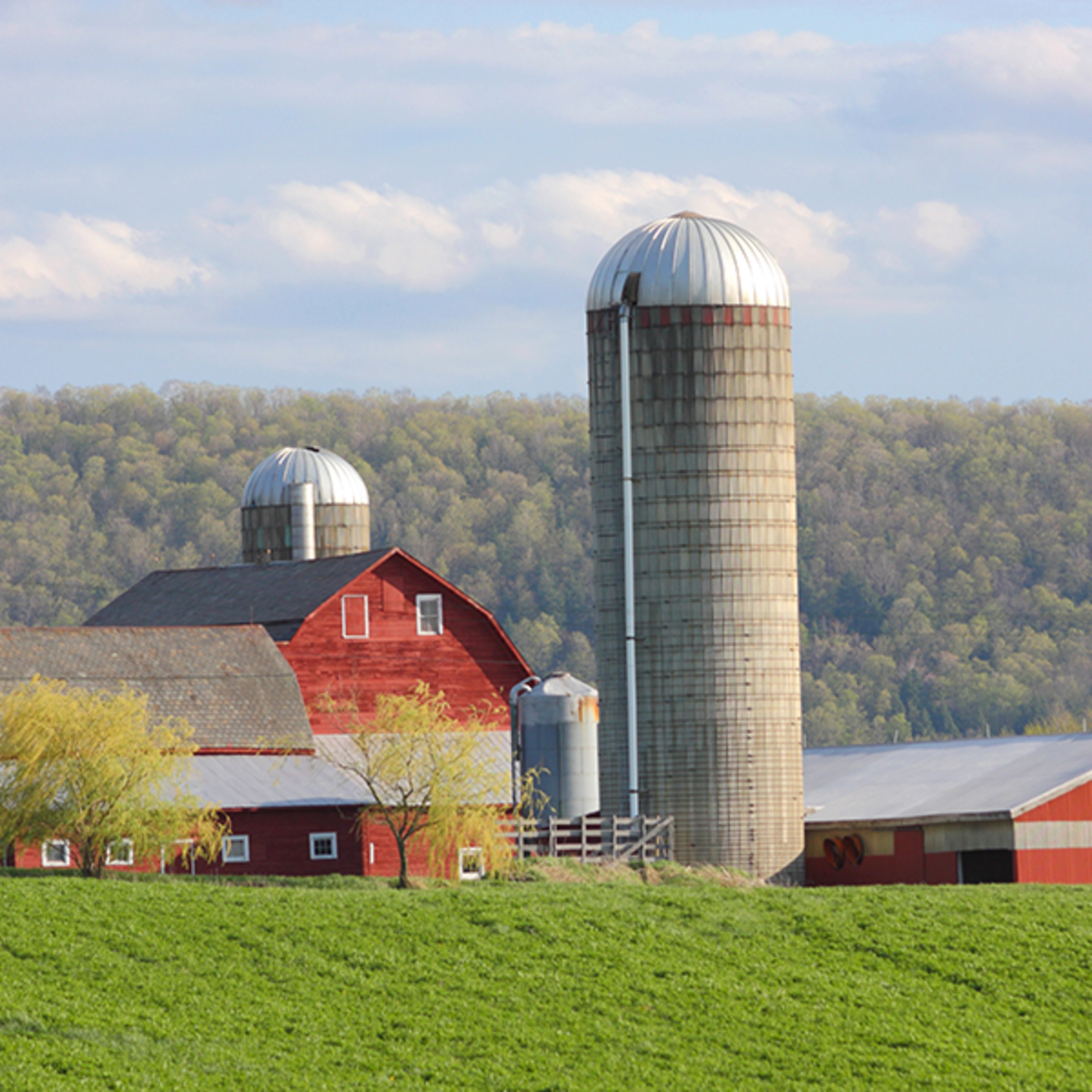 A red barn and silo with green hayfield on a spring day.