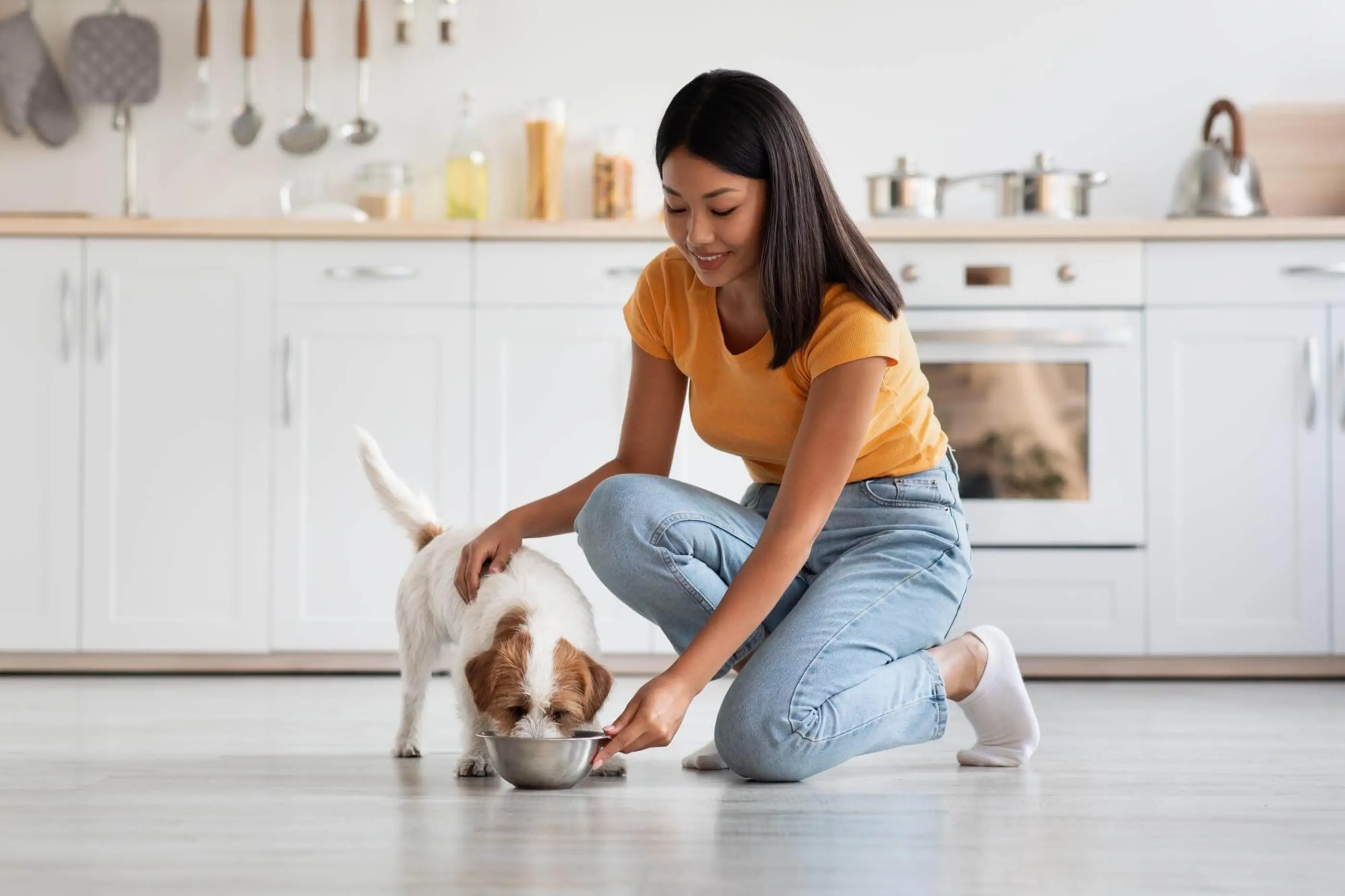 woman feeding small dog