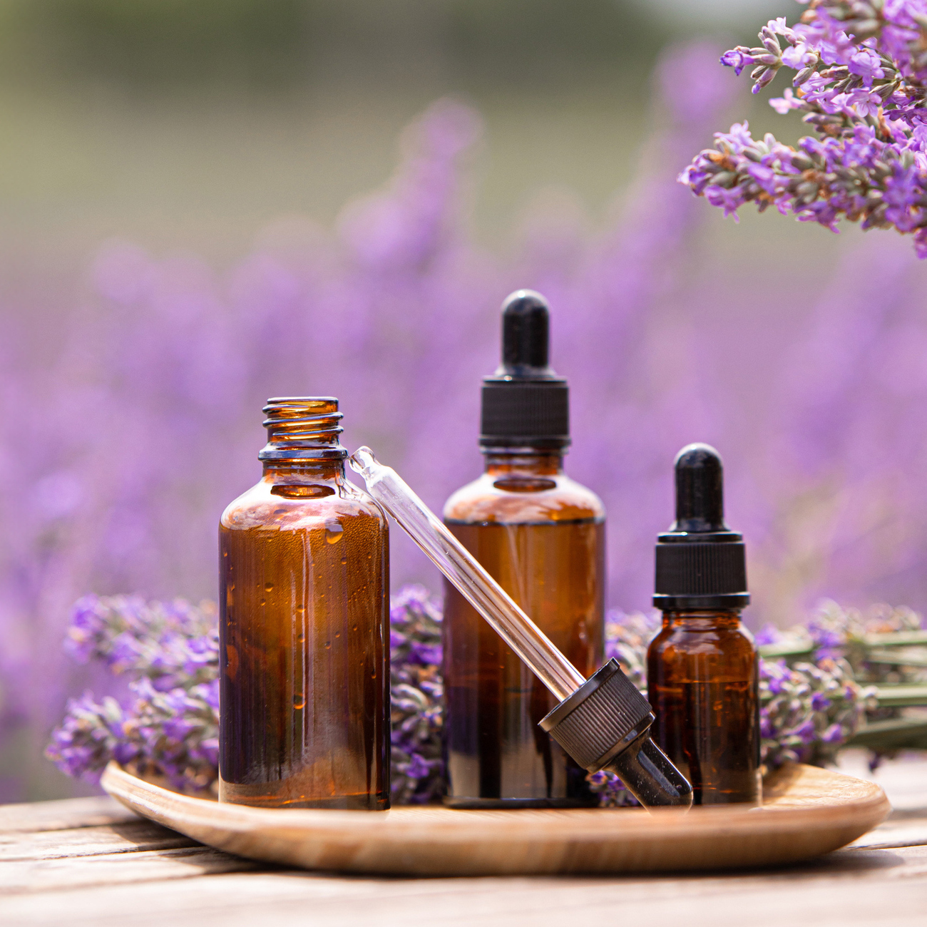 Amber essential lavender oil bottle. Violet lavendar field in Provence