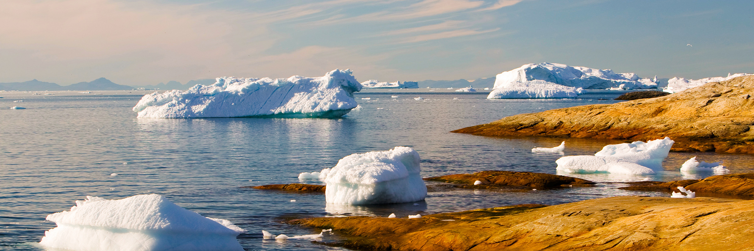 Icebergs from the Jacobshavn glacier.